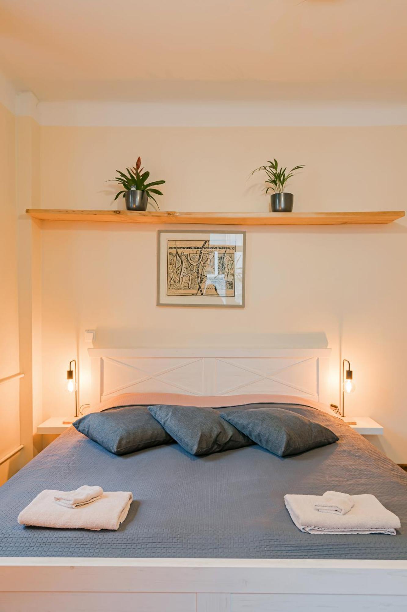 Cozy Studio And Standard Apartments In The Heart Of Oldtown VNO Exteriör bild